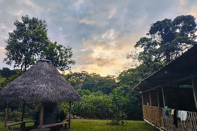 7 Day Back To The Roots Ayahuasca Retreat in the Colombian Amazon | Yoga Retreat