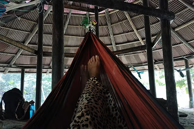 7 Day Back To The Roots Ayahuasca Retreat in the Colombian Amazon | Yoga Retreat